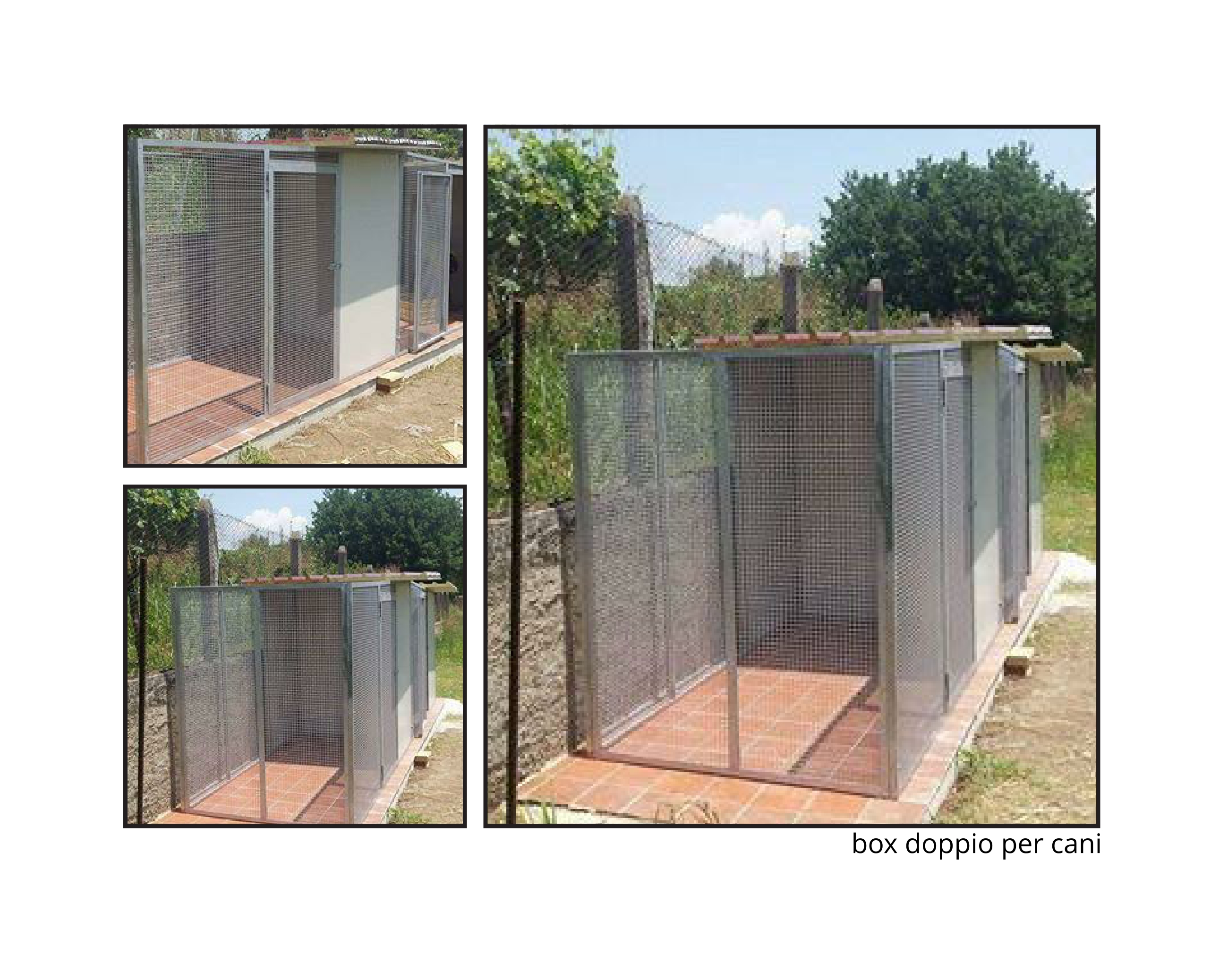 0069 box in linea per cani